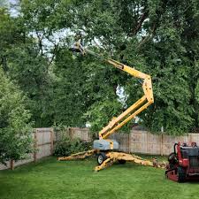 Melbourne Beach, FL Tree Care  Company